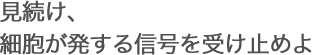 見続け、細胞が発する信号を受け止めよ
