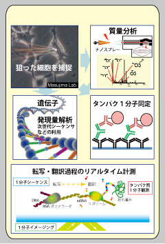 1細胞分子検出法